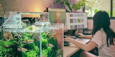 FishyHub Singapore Blazes the Trail in Aquarium E .